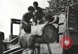 Image of United States soldiers New Guinea, 1943, second 37 stock footage video 65675061549