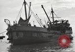 Image of United States soldiers New Guinea, 1943, second 47 stock footage video 65675061549