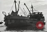 Image of United States soldiers New Guinea, 1943, second 56 stock footage video 65675061549