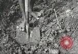 Image of 116th Engineer Battalion 41st Division soldiers New Guinea, 1943, second 21 stock footage video 65675061550