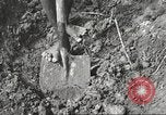 Image of 116th Engineer Battalion 41st Division soldiers New Guinea, 1943, second 22 stock footage video 65675061550