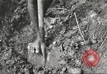 Image of 116th Engineer Battalion 41st Division soldiers New Guinea, 1943, second 23 stock footage video 65675061550