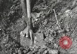 Image of 116th Engineer Battalion 41st Division soldiers New Guinea, 1943, second 26 stock footage video 65675061550