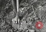 Image of 116th Engineer Battalion 41st Division soldiers New Guinea, 1943, second 27 stock footage video 65675061550