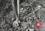 Image of 116th Engineer Battalion 41st Division soldiers New Guinea, 1943, second 28 stock footage video 65675061550