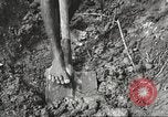 Image of 116th Engineer Battalion 41st Division soldiers New Guinea, 1943, second 30 stock footage video 65675061550