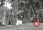 Image of 116th Engineer Battalion 41st Division soldiers New Guinea, 1943, second 53 stock footage video 65675061550