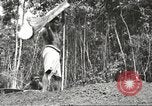 Image of 116th Engineer Battalion 41st Division soldiers New Guinea, 1943, second 56 stock footage video 65675061550