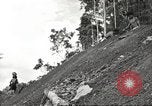 Image of 116th Engineer Battalion 41st Division soldiers New Guinea, 1943, second 59 stock footage video 65675061550