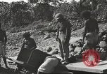Image of United States 116th Engineer Battalion 41st Division soldiers New Guinea, 1943, second 28 stock footage video 65675061551