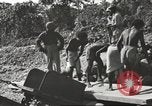 Image of United States 116th Engineer Battalion 41st Division soldiers New Guinea, 1943, second 34 stock footage video 65675061551