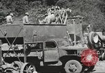 Image of United States 116th Engineer Battalion 41st Division soldiers New Guinea, 1943, second 52 stock footage video 65675061551