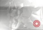 Image of Frank Merrill Burma, 1944, second 30 stock footage video 65675061553