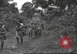 Image of Chinese troops Burma, 1943, second 6 stock footage video 65675061558