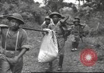 Image of Chinese troops Burma, 1943, second 26 stock footage video 65675061558