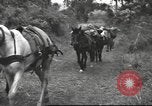 Image of Chinese troops Burma, 1943, second 27 stock footage video 65675061558