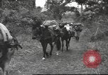 Image of Chinese troops Burma, 1943, second 28 stock footage video 65675061558
