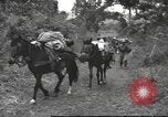 Image of Chinese troops Burma, 1943, second 29 stock footage video 65675061558