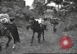 Image of Chinese troops Burma, 1943, second 30 stock footage video 65675061558