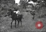 Image of Chinese troops Burma, 1943, second 31 stock footage video 65675061558
