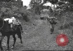 Image of Chinese troops Burma, 1943, second 32 stock footage video 65675061558