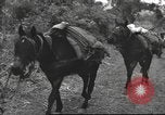 Image of Chinese troops Burma, 1943, second 33 stock footage video 65675061558
