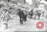 Image of Chinese troops Burma, 1943, second 36 stock footage video 65675061558