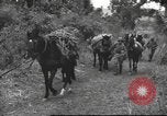 Image of Chinese troops Burma, 1943, second 37 stock footage video 65675061558
