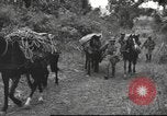 Image of Chinese troops Burma, 1943, second 38 stock footage video 65675061558