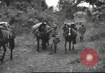 Image of Chinese troops Burma, 1943, second 39 stock footage video 65675061558