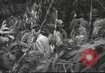 Image of Joseph Stilwell Burma, 1943, second 25 stock footage video 65675061559