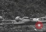Image of Joseph Stilwell Burma, 1943, second 60 stock footage video 65675061559