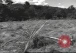 Image of C-47 Skytrain aircraft Burma, 1943, second 13 stock footage video 65675061560