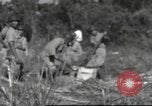 Immagine di Soldati Chiense La Birmania, 1943, secondo 4 filmato di repertorio 65675061561