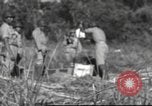 Immagine di Soldati Chiense La Birmania, 1943, secondo 12 filmato di repertorio 65675061561