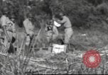 Immagine di Soldati Chiense La Birmania, 1943, secondo 13 filmato di repertorio 65675061561