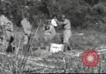 Immagine di Soldati Chiense La Birmania, 1943, secondo 14 filmato di repertorio 65675061561