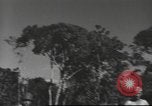 Immagine di Soldati Chiense La Birmania, 1943, secondo 42 filmato di repertorio 65675061561