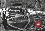 Immagine di Soldati Chiense La Birmania, 1943, secondo 47 filmato di repertorio 65675061561