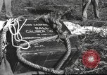Immagine di Soldati Chiense La Birmania, 1943, secondo 48 filmato di repertorio 65675061561