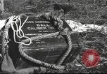 Immagine di Soldati Chiense La Birmania, 1943, secondo 57 filmato di repertorio 65675061561