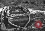 Immagine di Soldati Chiense La Birmania, 1943, secondo 58 filmato di repertorio 65675061561