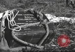 Immagine di Soldati Chiense La Birmania, 1943, secondo 60 filmato di repertorio 65675061561