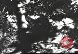 Standbild C-47 Skytrain Flugzeuge Birma, 1943, aus Sekunde 21 historischem Filmmaterial Videoclip 65675061562