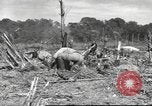 Image of C-47 Skytrain aircraft Burma, 1943, second 4 stock footage video 65675061563
