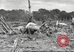 Image of C-47 Skytrain aircraft Burma, 1943, second 5 stock footage video 65675061563