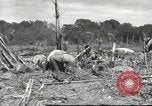 Image of C-47 Skytrain aircraft Burma, 1943, second 7 stock footage video 65675061563