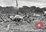 Image of C-47 Skytrain aircraft Burma, 1943, second 8 stock footage video 65675061563