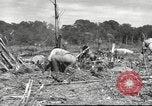 Image of C-47 Skytrain aircraft Burma, 1943, second 9 stock footage video 65675061563