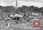 Image of C-47 Skytrain aircraft Burma, 1943, second 10 stock footage video 65675061563